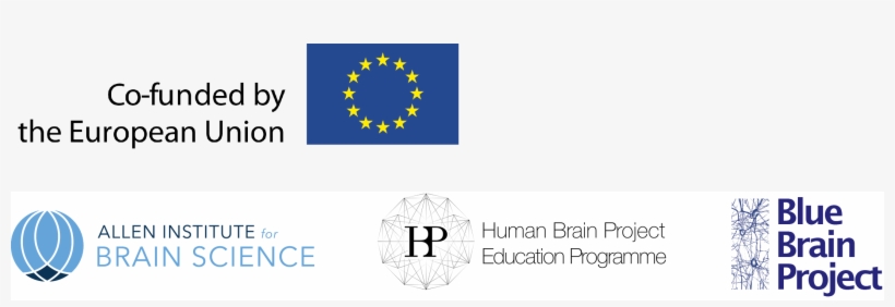 Contributors - Blue Brain Project, transparent png download