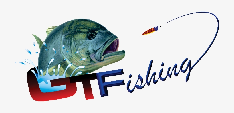 Image Is Not Available - Pull Fish Out Of Water, transparent png download