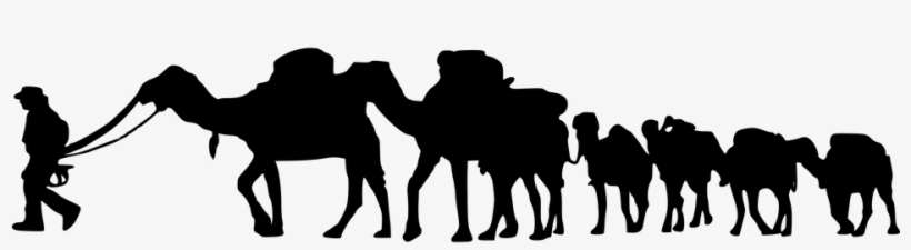 Clip Freeuse Download Safari Guide Walking Scroll Saw - Camel Vector Png, transparent png download
