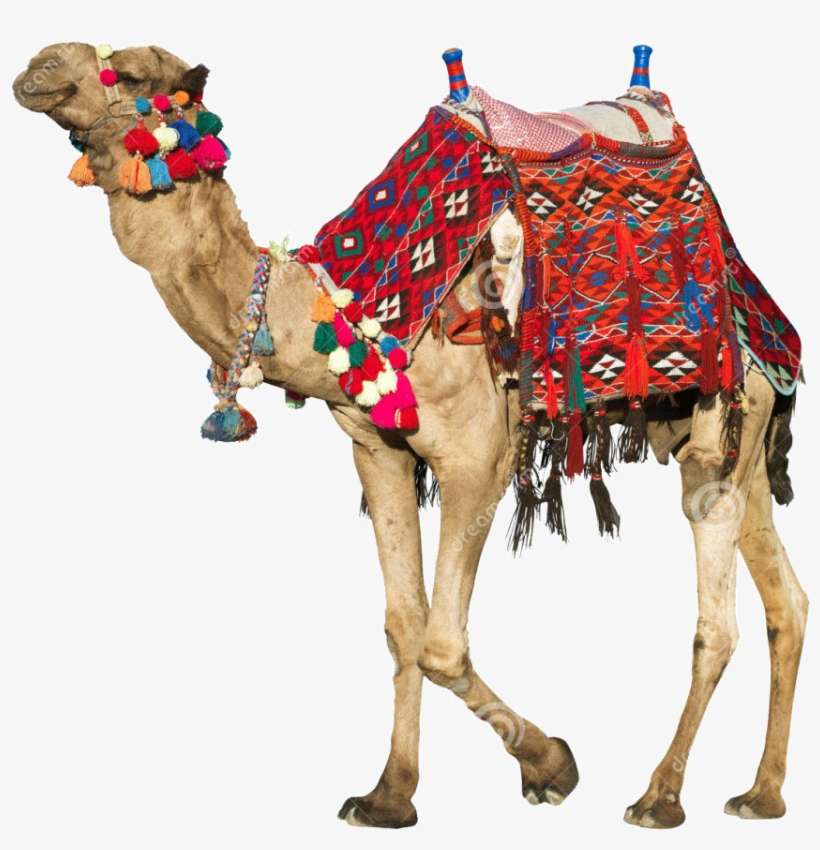 Family Tour Rajasthan - Ancient Arabian Camel Saddle, transparent png download