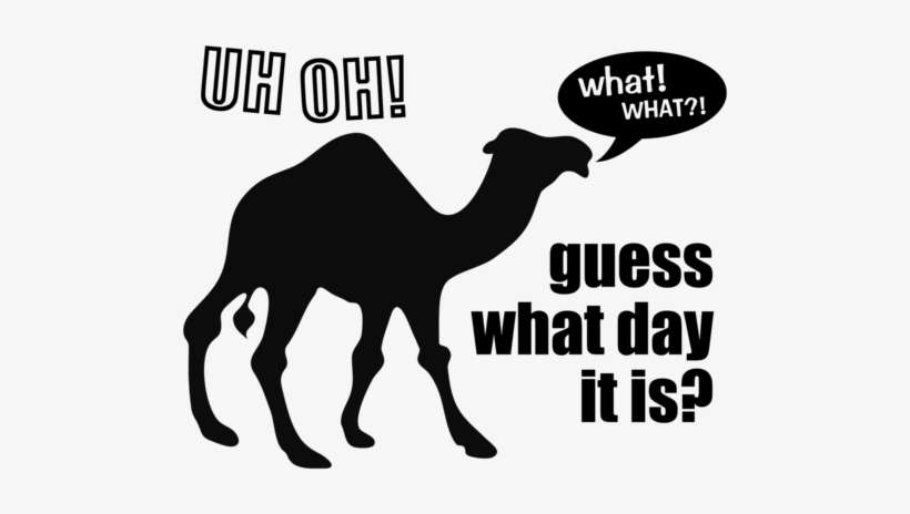 Vector Transparent Library Clipart Camel Hump Day - Hump Day Guess What Day It Is Free, transparent png download