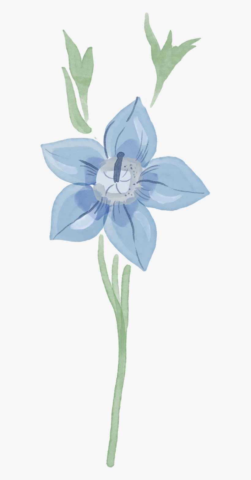30 Days Blogchallenge Day - Lily, transparent png download
