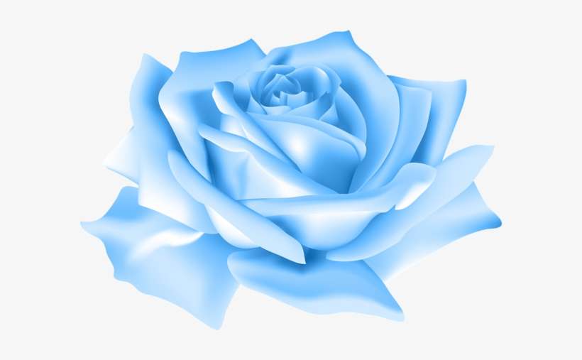 Blue Rose Flower Png Clip Art Image - Blue Rose Flower Png, transparent png download