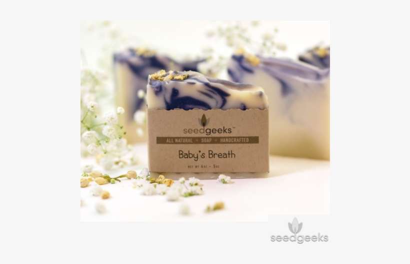 Baby's Breath Soap - Baby's-breath, transparent png download