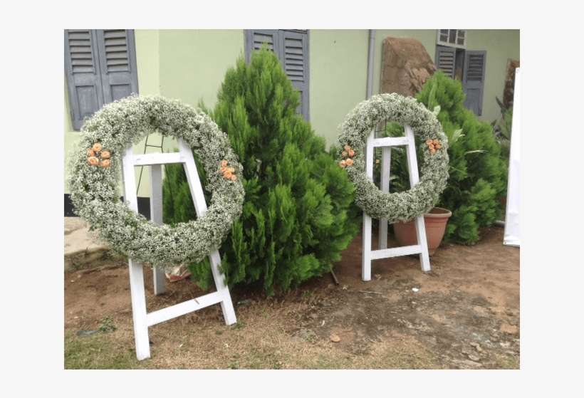 Babys Breath Wreaths - Hedge, transparent png download