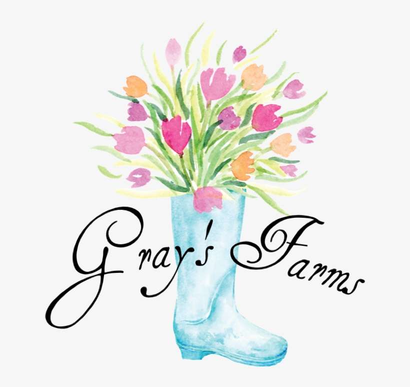 Gray's Farms - Art Print: Lewis' Greatest Adventure, 13x19in., transparent png download