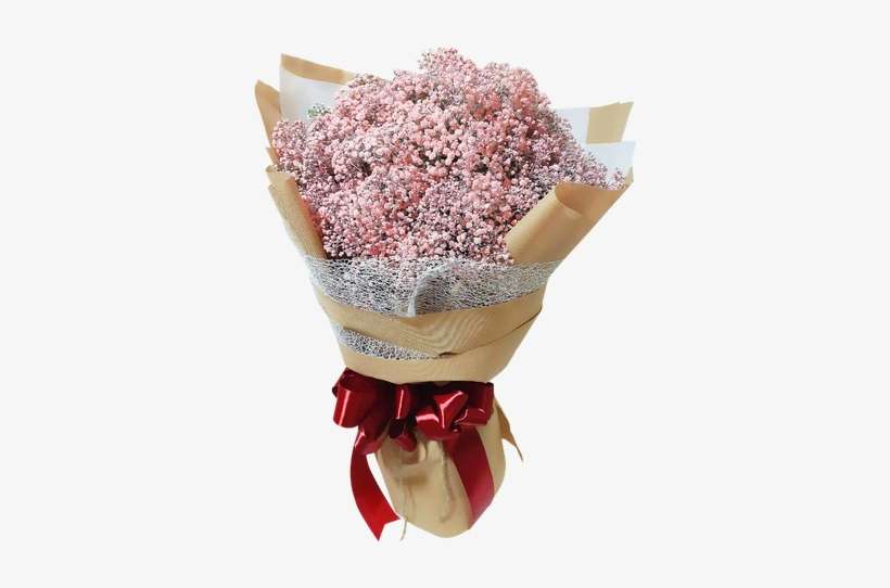 Medium Size Pink Baby Breath - Flower, transparent png download