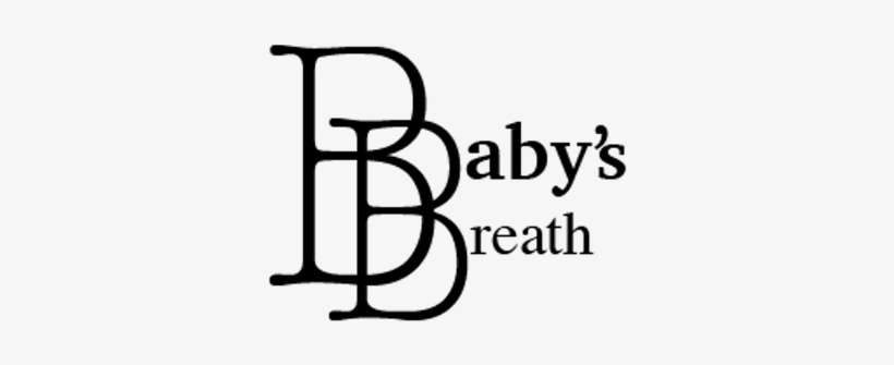 Baby's Breath - Baby's-breath, transparent png download
