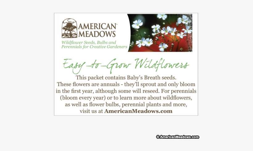 Baby Shower Seed Packet American Meadows - Christmas Eve, transparent png download