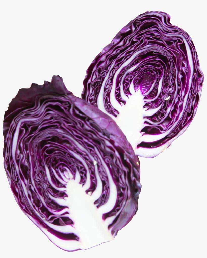 Download Amazing High-quality Latest Png Images Transparent - Red Cabbage Png, transparent png download