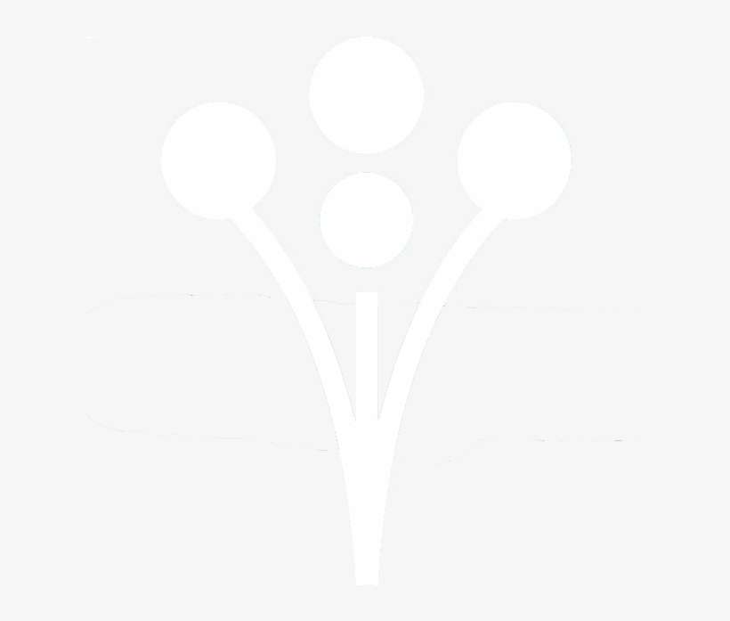 Baby's Breath Backdrop - Weddingwire, transparent png download