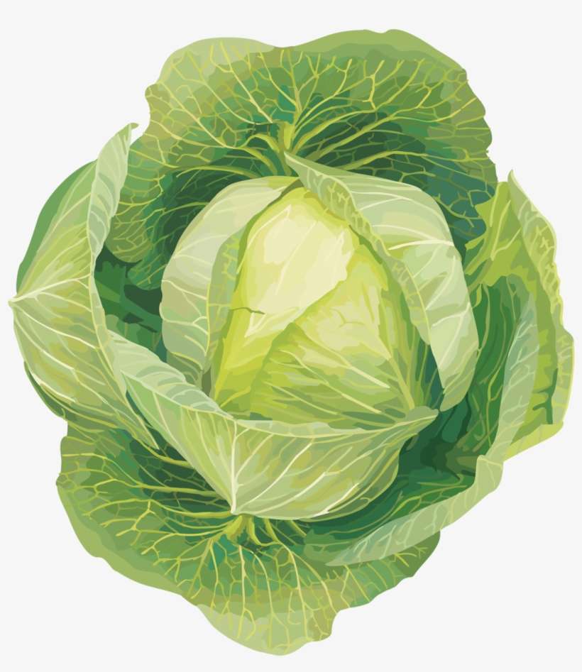 Coloring Book For Children - Vegetables Clip Art, transparent png download