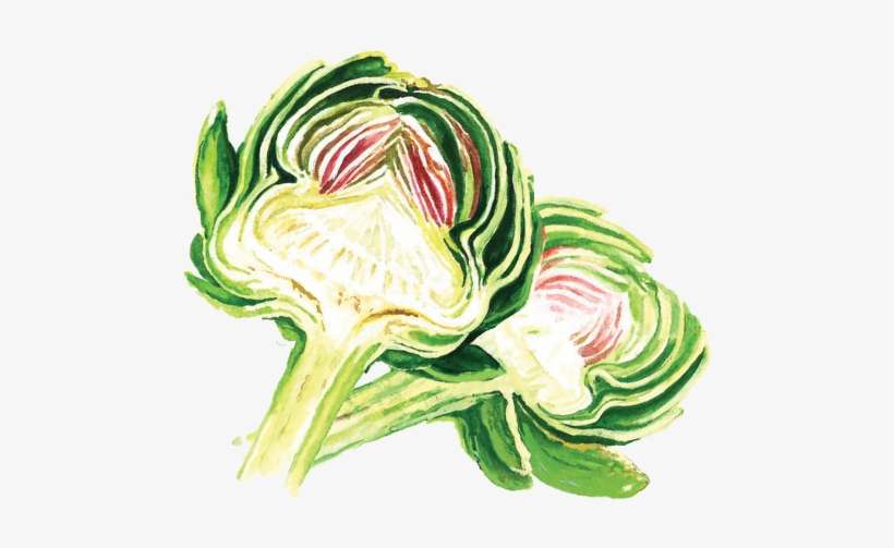 Artichoke, transparent png download
