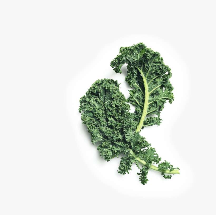 Smoothie Lacinato Kale Cabbage Cauliflower Leaf Vegetable - Broccoli, transparent png download