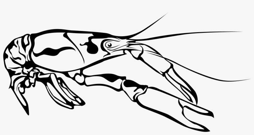Crawfish - Crawfish Clip Art Black And White, transparent png download