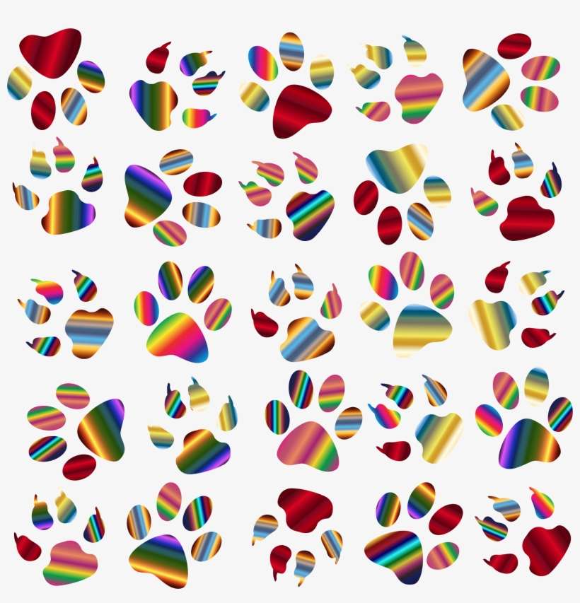 Colorful Paw Prints Pattern Background Reinvigorated - Pawprints Background Vector, transparent png download