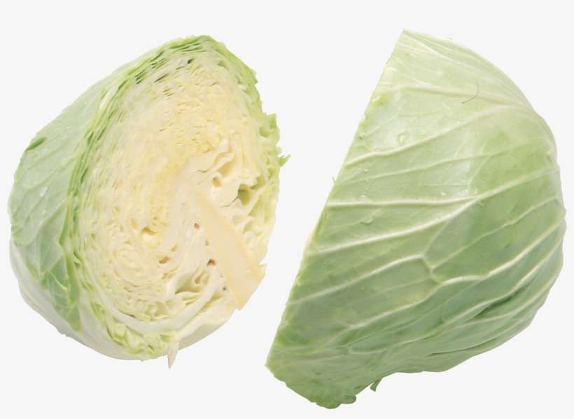 Cabbage Png Image - Cabbage, transparent png download