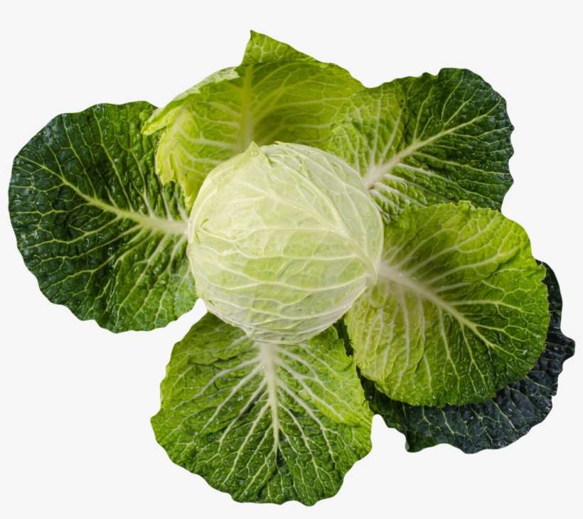 Kohl-kissen Rundes Kissen, transparent png download