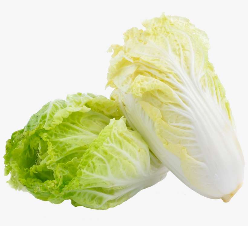 Chinese Cabbage - Chinese Cabbage Png, transparent png download