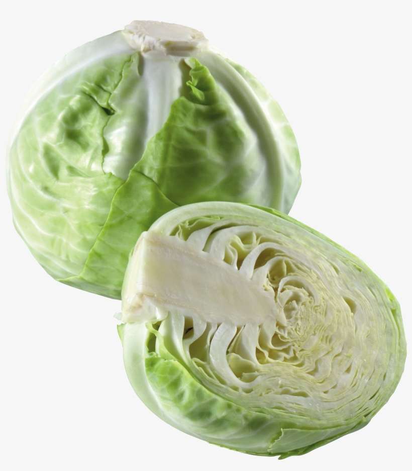Cabbage Icon Clipart - Cabbage, transparent png download