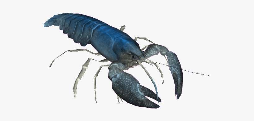 Transparent Lobster Blue - Zoo Tycoon 2, transparent png download