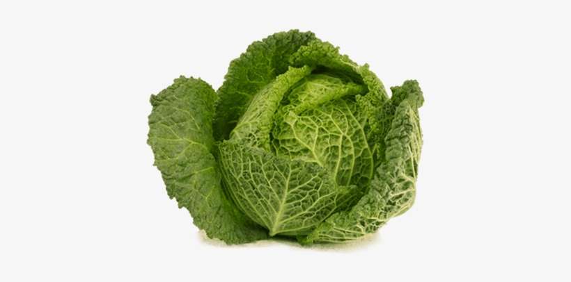 Large Cabbages, transparent png download