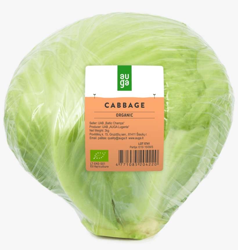 .lt, transparent png download