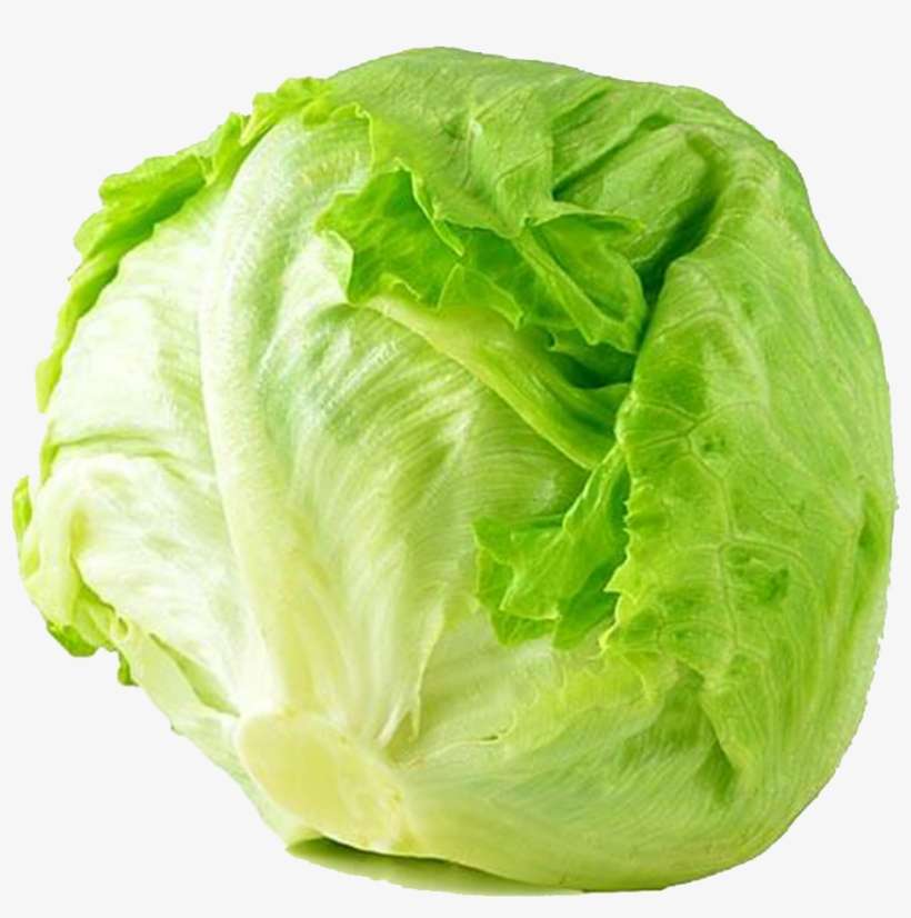 Lettuce Transparent Iceberg - Iceberg Lettuce Png, transparent png download