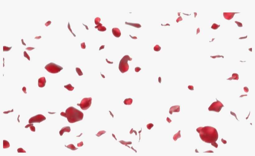 Falling Petals Png Clipart - Falling Rose Petals Png, transparent png download