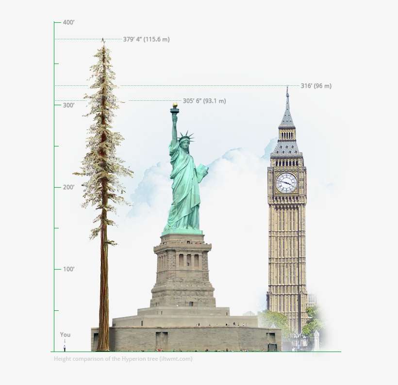 Statue Of Liberty, transparent png download