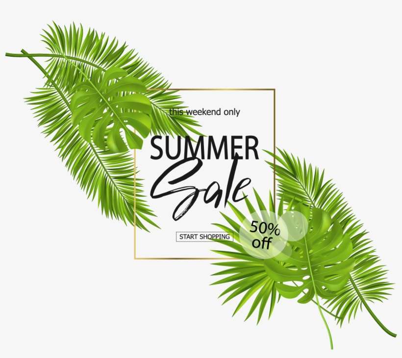 Coconuts Vector High Resolution - Illustration, transparent png download