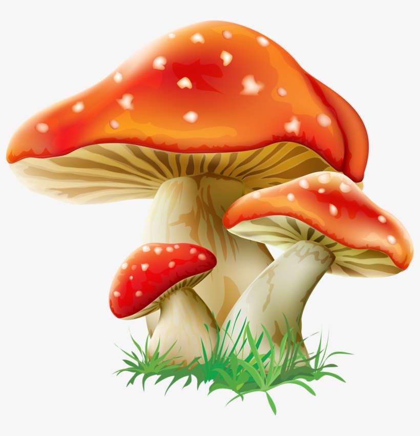 Graphic Freeuse Library Neon Drawing Mushroom - Hongos Caricatura, transparent png download