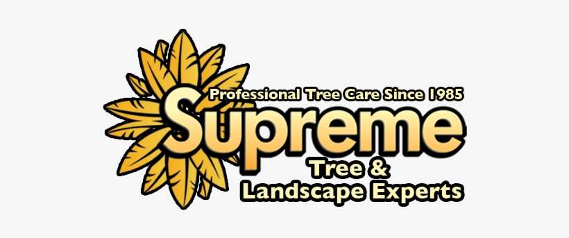 Online Scheduling - Illustration, transparent png download