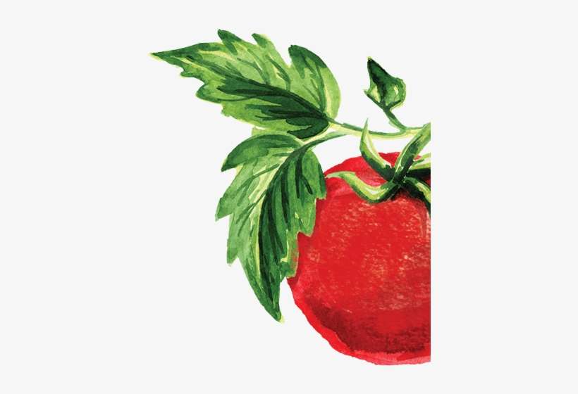 History - Illustration, transparent png download