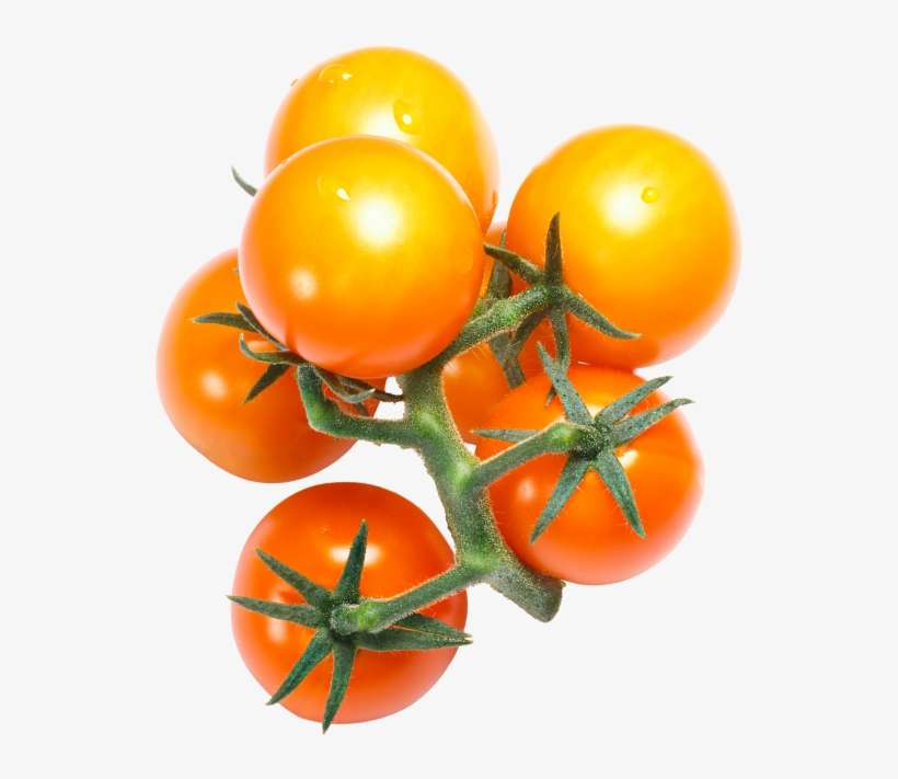 Cherry Tomatoes - Tomato, transparent png download