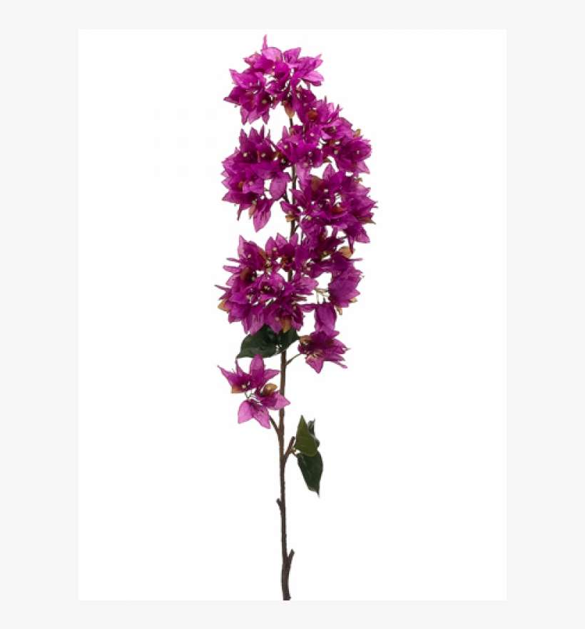 43" Bougainvillea Spray Orchid - Silk Plants Direct Bougainvillea Spray - Coral - Pack, transparent png download