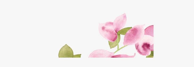 Bougainvillea Escort Card - Sweet Pea, transparent png download