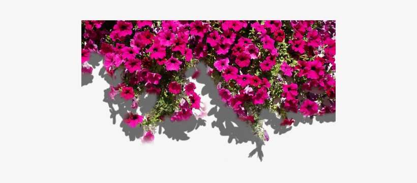 Floweds - الحمد لله مل السماوات و الارض, transparent png download