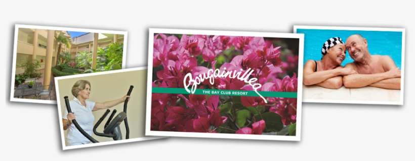 Independent Living Apartments Bougainvillea Serviced - Neutral Bay, transparent png download