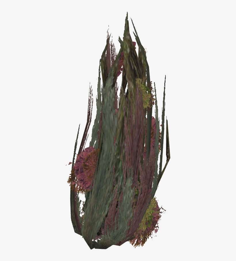 Large Seaweed - Cactus, transparent png download
