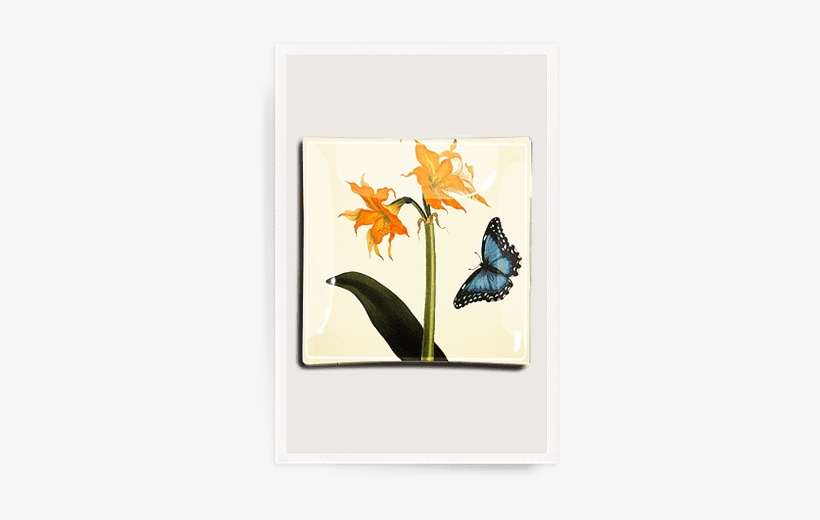 Amaryllis And Butterfly Decoupage Glass Tray - Picture Frame, transparent png download