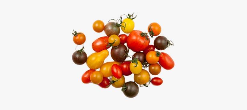 Artisan Series Tomatoes - Tomato, transparent png download