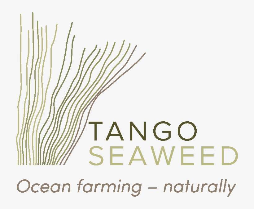 Tangos Seaweed Slagord - Seaweed, transparent png download