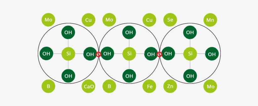 Siliforce Is A Range Of Different Formulations That - Circle, transparent png download