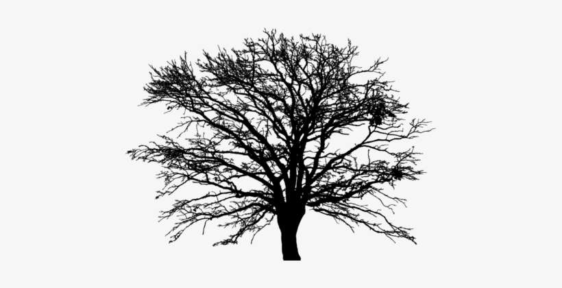 Download Tree Landscape Ecology Silhouette - 5'x7'area Rug, transparent png download