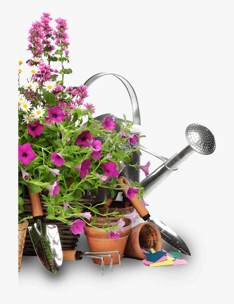 Flower-img - Evergreen Home And Garden Showplace, transparent png download
