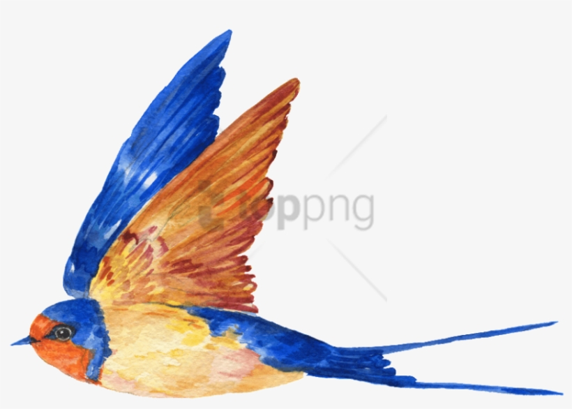 Free Png Download Transparent Blue Bird Png Images - Portable Network Graphics, transparent png download