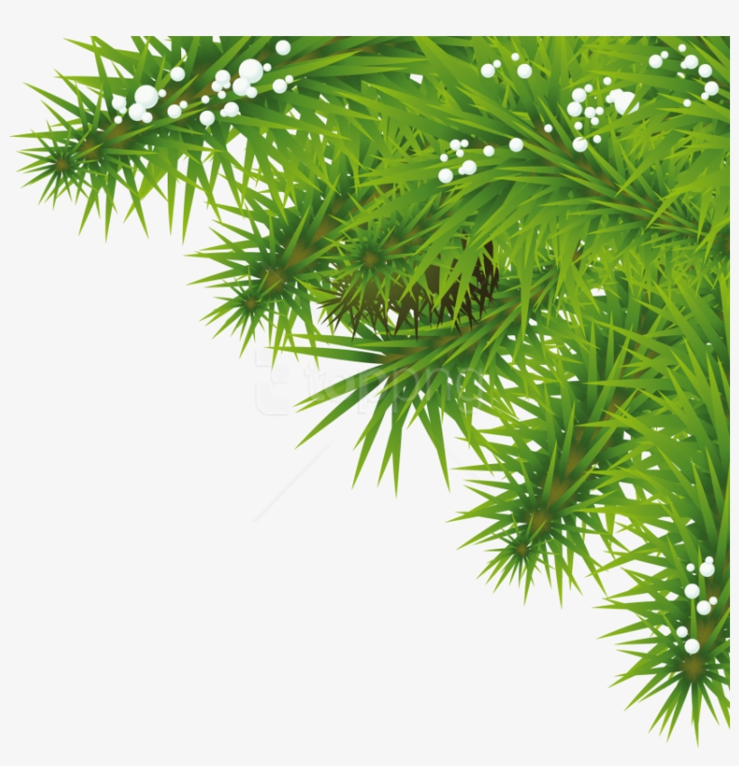 Download Fir Tree Clipart Png Photo - Png Tree Background Hd, transparent png download