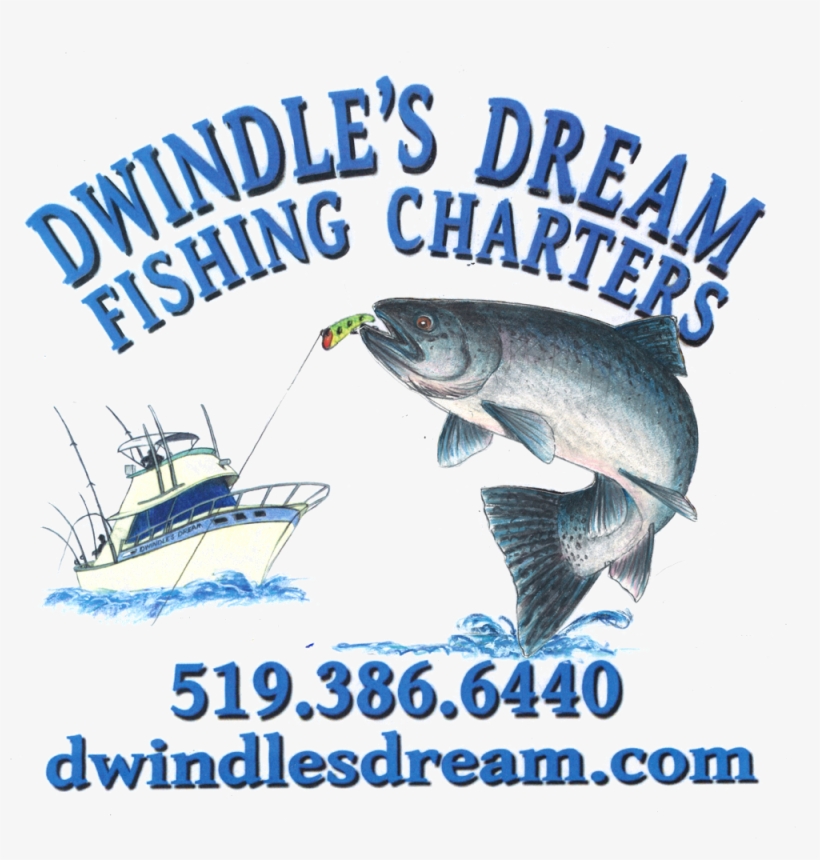 Pull Fish Out Of Water, transparent png download