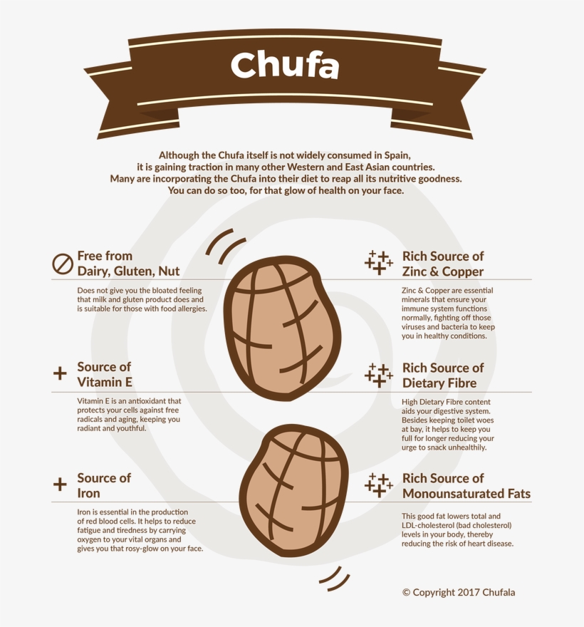 Chufa & Horchata - Hot Cross Bun, transparent png download